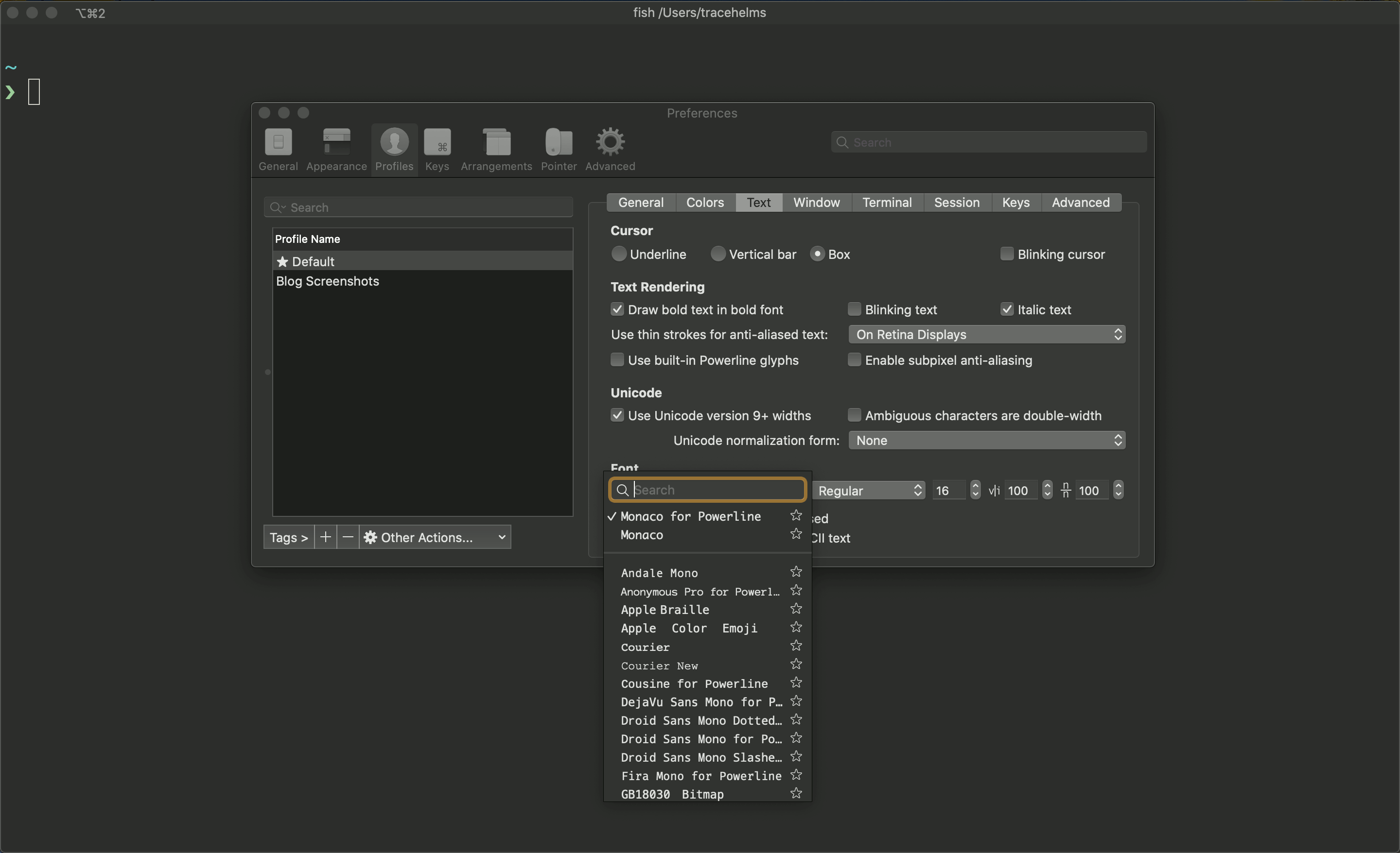 iTerm Fonts